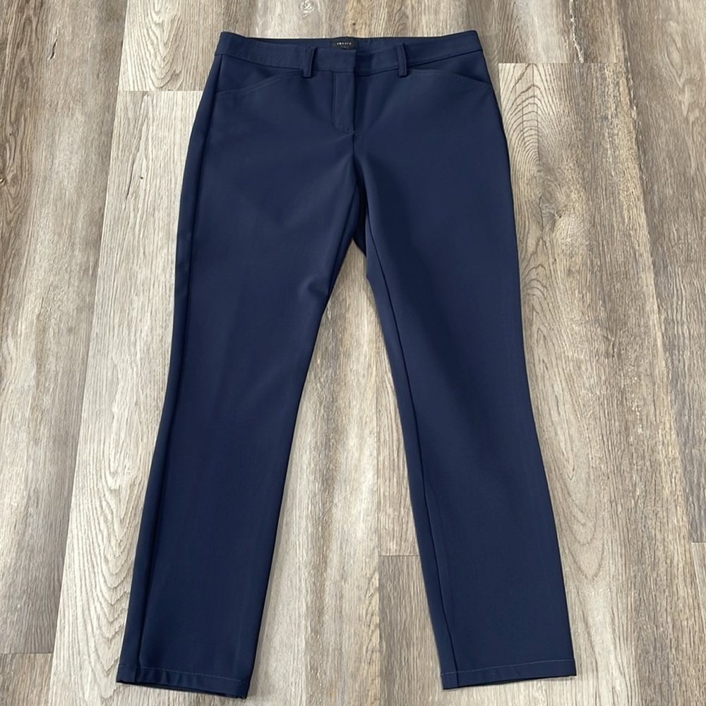Theory Dantey Mandatory blue nylon ankle pants size 4 women’s